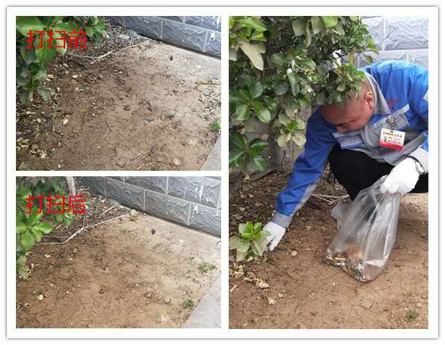 我的環(huán)境我做主 我的環(huán)境我做主