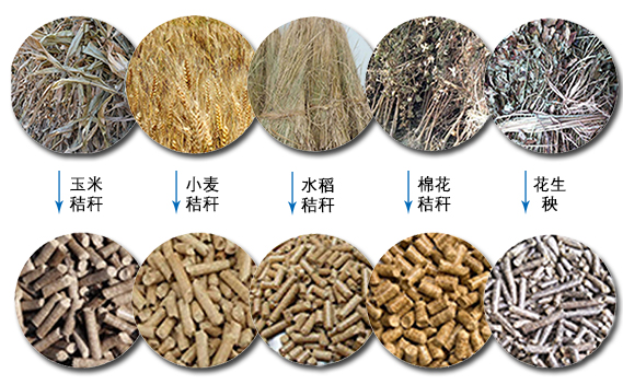 秸稈顆粒機適用原料 秸稈顆粒機適用原料